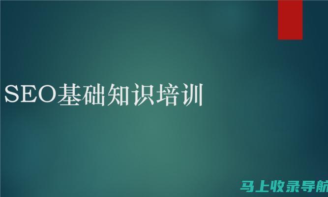 SEO新手起步：搜索引擎优化基础教程